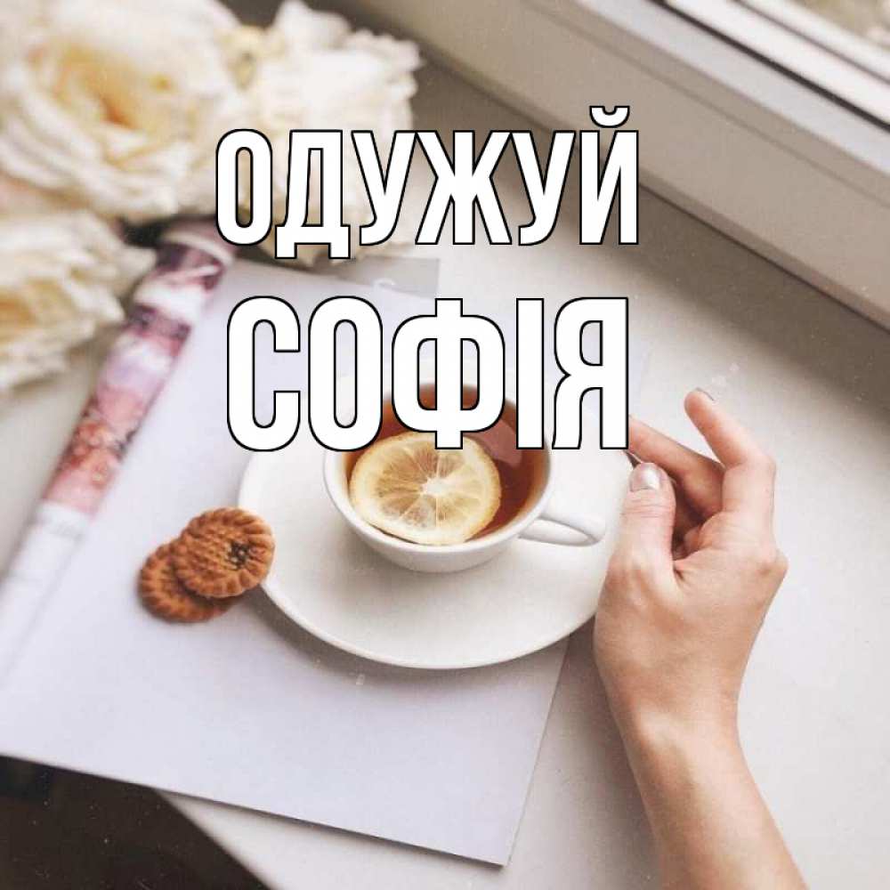 Открытка на каждый день з підписом, Софія Одужуй и печеньками Прикольна листівка з побажанням онлайн скачати безкоштовно 