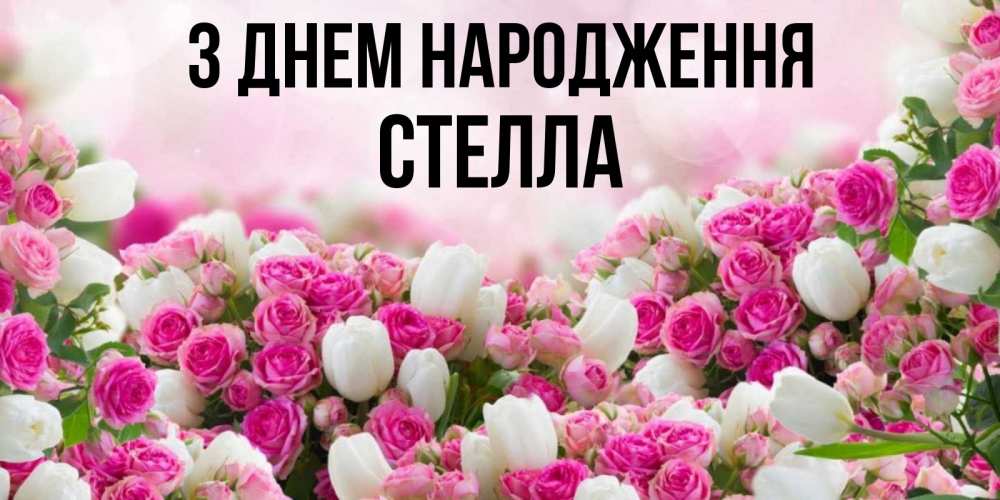 Открытка на каждый день з підписом, Стелла З Днем народження открытка с разными розами Прикольна листівка з побажанням онлайн скачати безкоштовно 