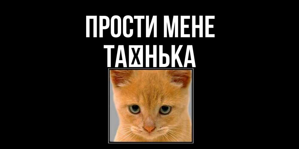 Открытка на каждый день з підписом, Таєнька Прости мене рыжий грустный кот просит прощения Прикольна листівка з побажанням онлайн скачати безкоштовно 