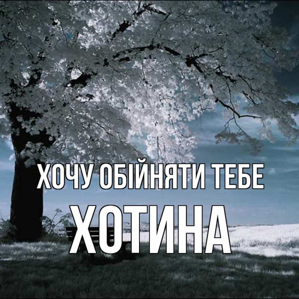 Открытка на каждый день з підписом, Хотина Хочу обійняти тебе дерево Прикольна листівка з побажанням онлайн скачати безкоштовно 