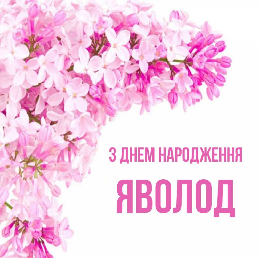 Открытка на каждый день з підписом, Яволод З Днем народження Сирень на белом фоне Прикольна листівка з побажанням онлайн скачати безкоштовно 