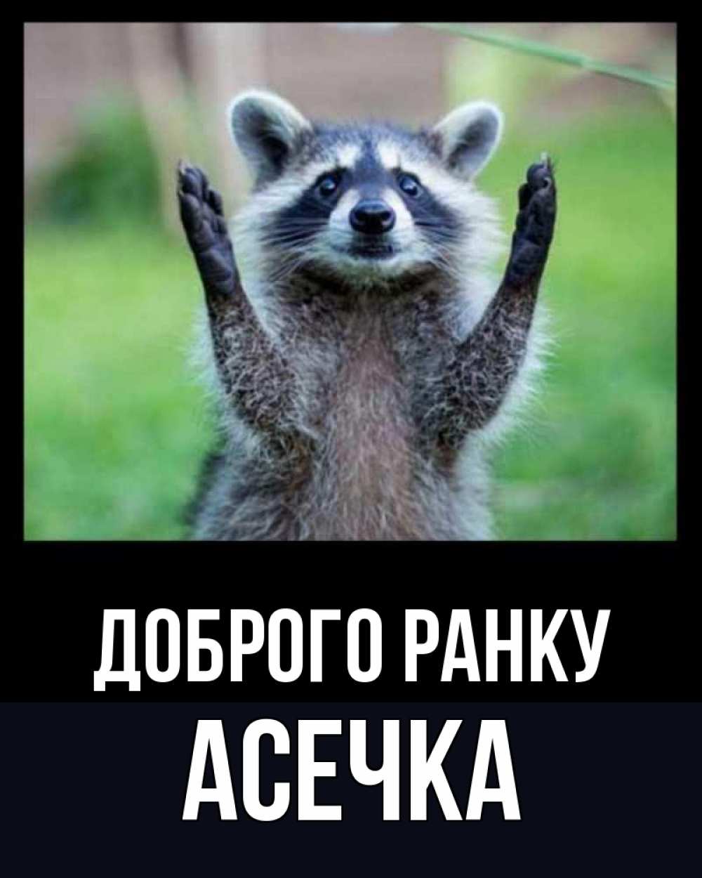 Открытка на каждый день з підписом, Асечка Доброго ранку хорошее настроение утречком Прикольна листівка з побажанням онлайн скачати безкоштовно 