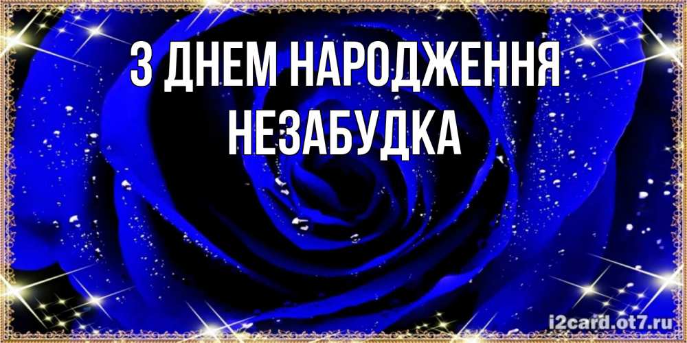 Открытка на каждый день з підписом, Незабудка З Днем народження голубые цветы в росе Прикольна листівка з побажанням онлайн скачати безкоштовно 