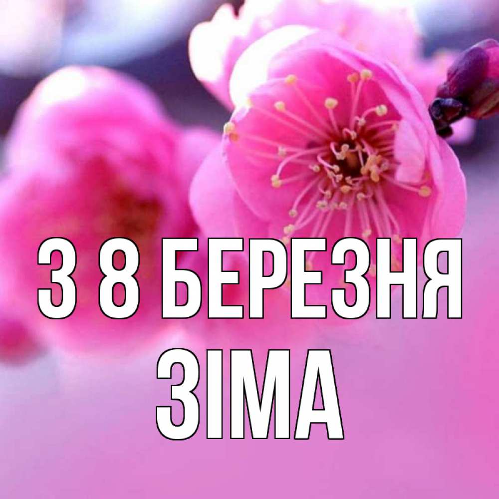 Открытка на каждый день з підписом, Зіма З 8 БЕРЕЗНЯ международный женский день Прикольна листівка з побажанням онлайн скачати безкоштовно 