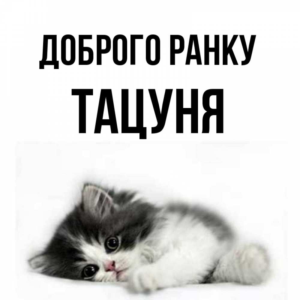 Открытка на каждый день з підписом, Тацуня Доброго ранку кот лапки Прикольна листівка з побажанням онлайн скачати безкоштовно 