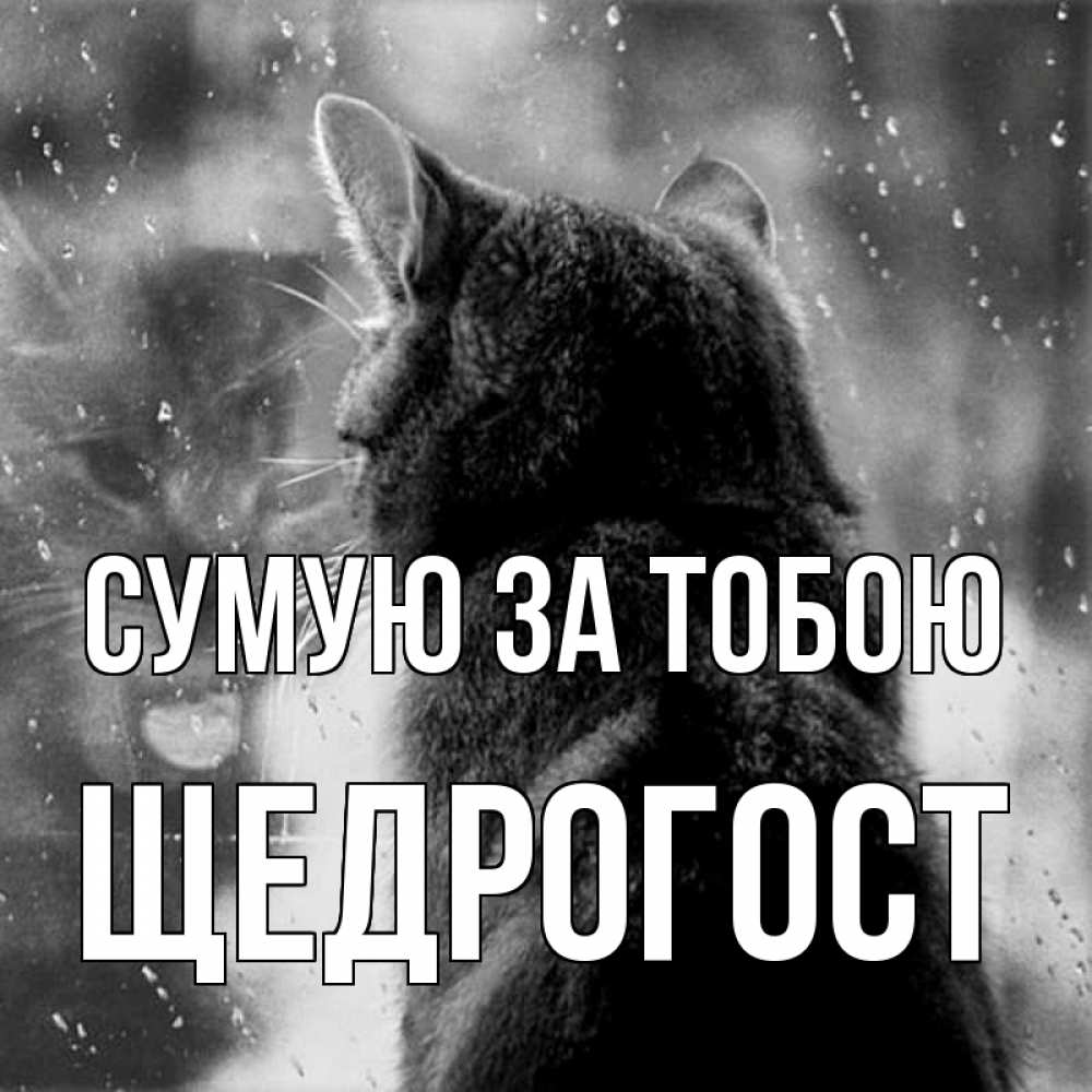 Открытка на каждый день з підписом, Щедрогост Сумую за тобою скорее ко мне приходи 1 Прикольна листівка з побажанням онлайн скачати безкоштовно 