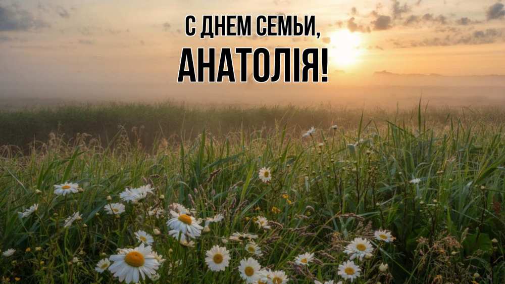 Открытка на каждый день з підписом, Анатолія С днем семьи с днем семьи Прикольна листівка з побажанням онлайн скачати безкоштовно 