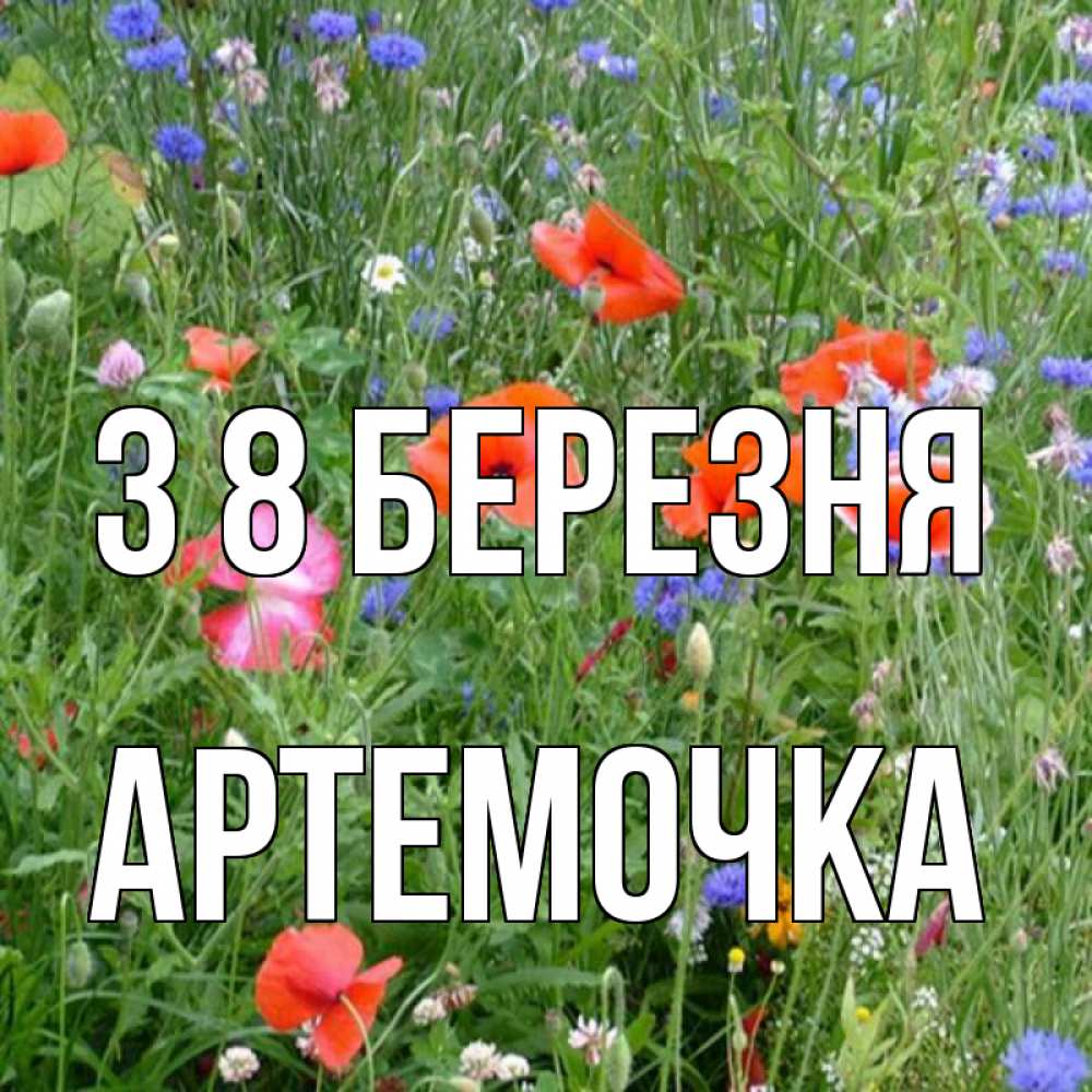 Открытка на каждый день з підписом, Артемочка З 8 БЕРЕЗНЯ международный женский день 4 Прикольна листівка з побажанням онлайн скачати безкоштовно 