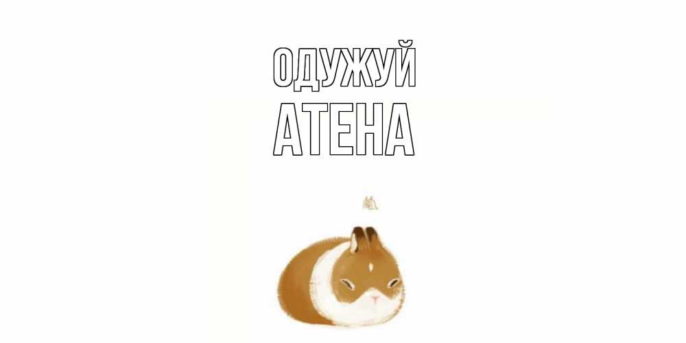 Открытка на каждый день з підписом, Атена Одужуй морская свинка на открытке с пожеланиями не болеть Прикольна листівка з побажанням онлайн скачати безкоштовно 