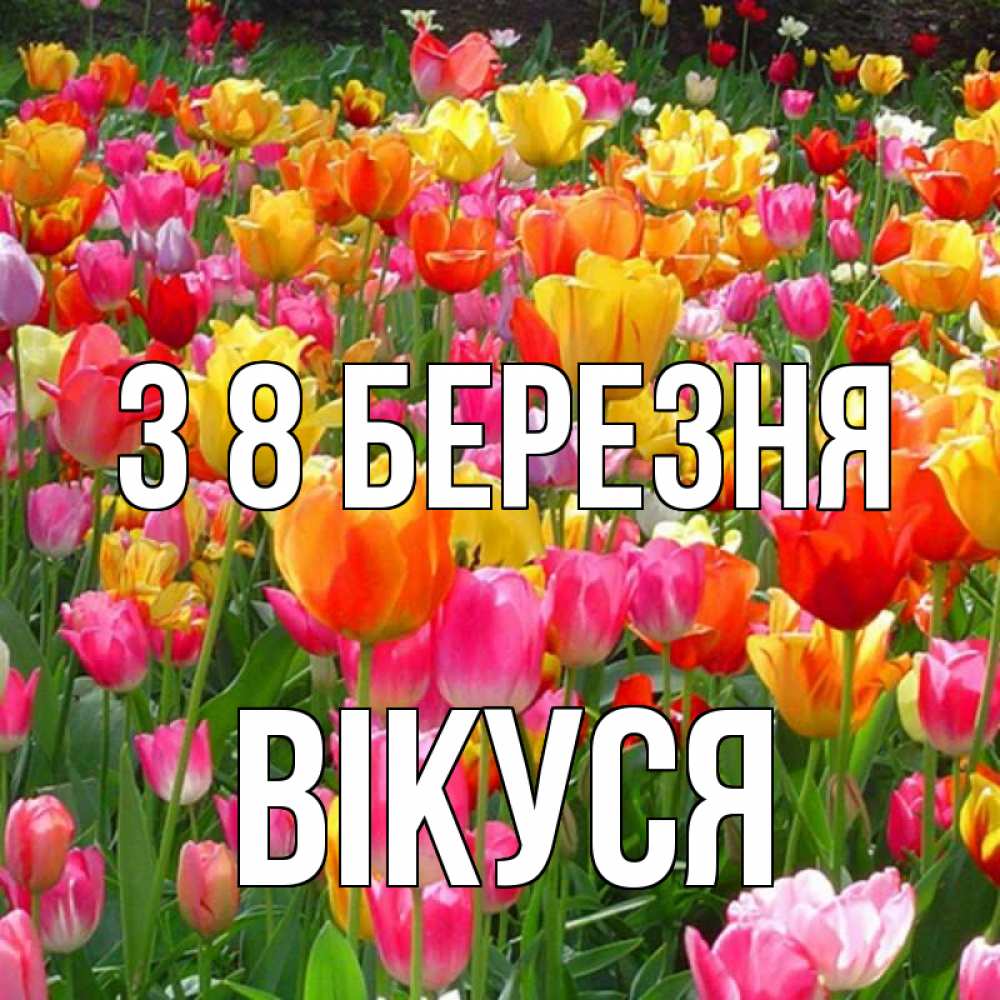 Открытка на каждый день з підписом, Вікуся З 8 БЕРЕЗНЯ на международный женский день Прикольна листівка з побажанням онлайн скачати безкоштовно 