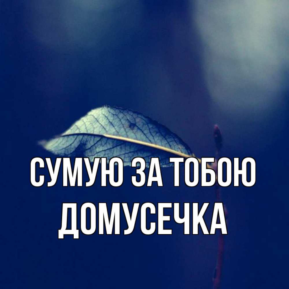 Открытка на каждый день з підписом, Домусечка Сумую за тобою одна ветка 1 Прикольна листівка з побажанням онлайн скачати безкоштовно 