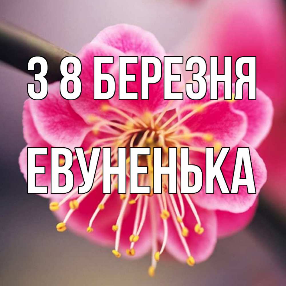Открытка на каждый день з підписом, Евуненька З 8 БЕРЕЗНЯ цветы Прикольна листівка з побажанням онлайн скачати безкоштовно 