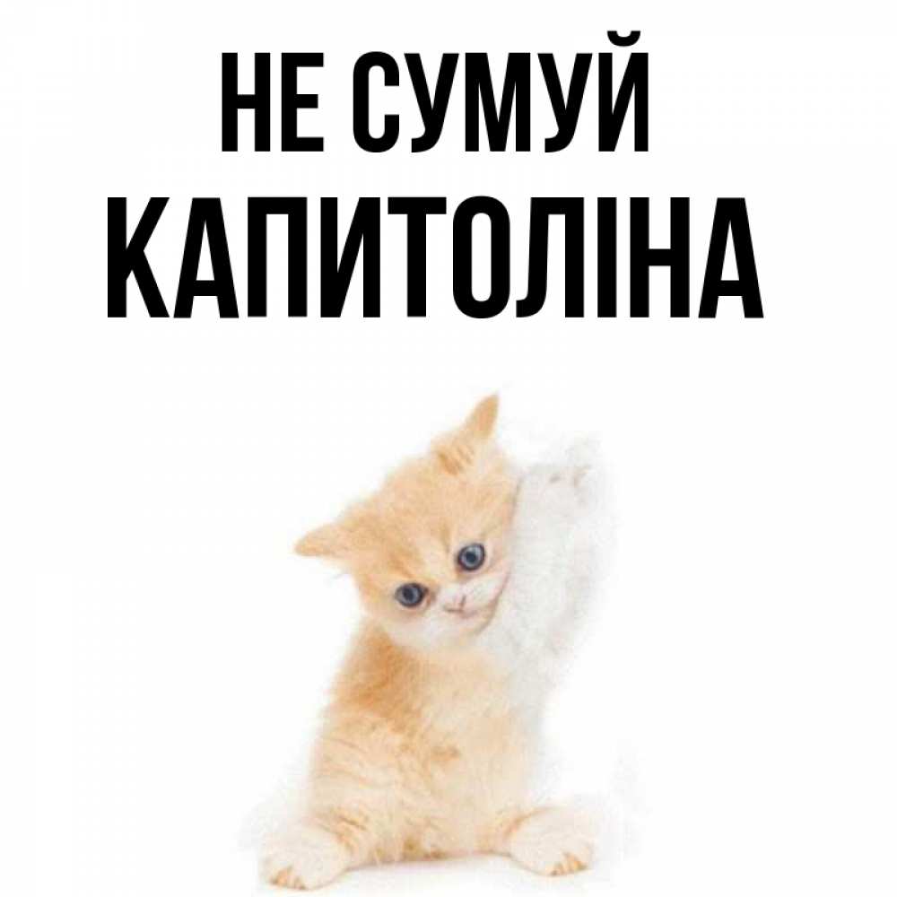 Открытка на каждый день з підписом, Капитоліна Не сумуй просящий кот Прикольна листівка з побажанням онлайн скачати безкоштовно 