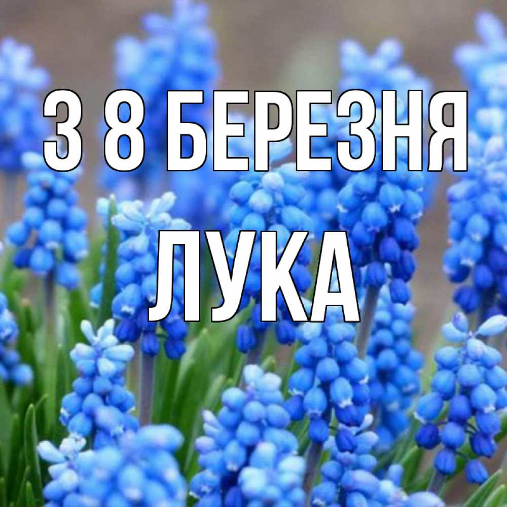 Открытка на каждый день з підписом, Лука З 8 БЕРЕЗНЯ Поздравительная открытка для женщин с цветами на праздничную дату Прикольна листівка з побажанням онлайн скачати безкоштовно 
