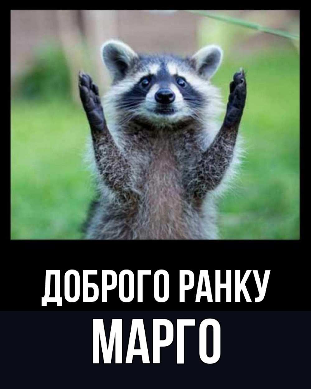 Открытка на каждый день з підписом, Марго Доброго ранку хорошее настроение утречком Прикольна листівка з побажанням онлайн скачати безкоштовно 