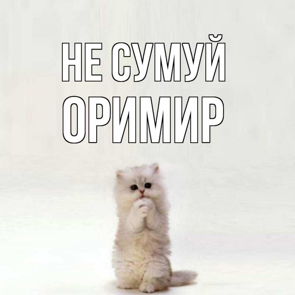 Открытка на каждый день з підписом, Оримир Не сумуй грустный кот Прикольна листівка з побажанням онлайн скачати безкоштовно 