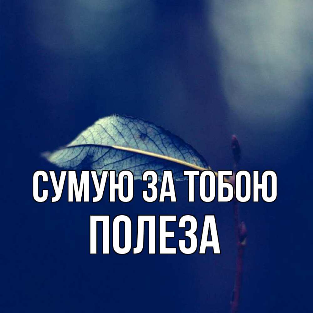 Открытка на каждый день з підписом, Полеза Сумую за тобою одна ветка 1 Прикольна листівка з побажанням онлайн скачати безкоштовно 