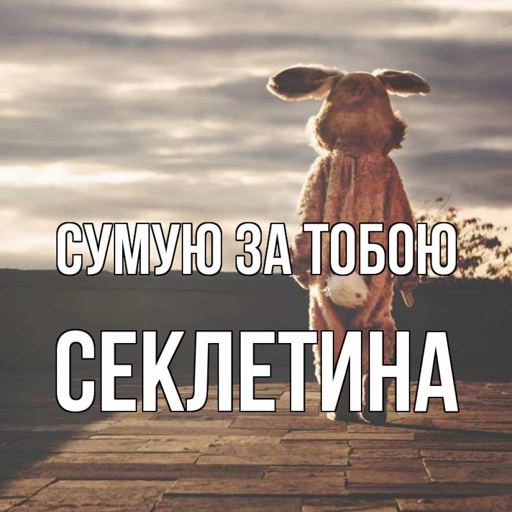 Открытка на каждый день з підписом, Секлетина Сумую за тобою даже в костюме зайца Прикольна листівка з побажанням онлайн скачати безкоштовно 