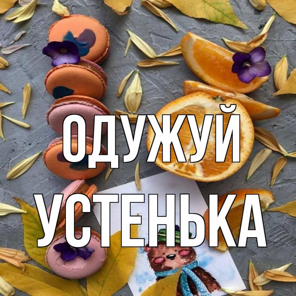 Открытка на каждый день з підписом, Устенька Одужуй не болейте Прикольна листівка з побажанням онлайн скачати безкоштовно 