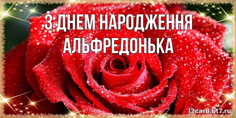 Открытка на каждый день з підписом, Альфредонька З Днем народження роса и роза. открытка с красивой розой Прикольна листівка з побажанням онлайн скачати безкоштовно 