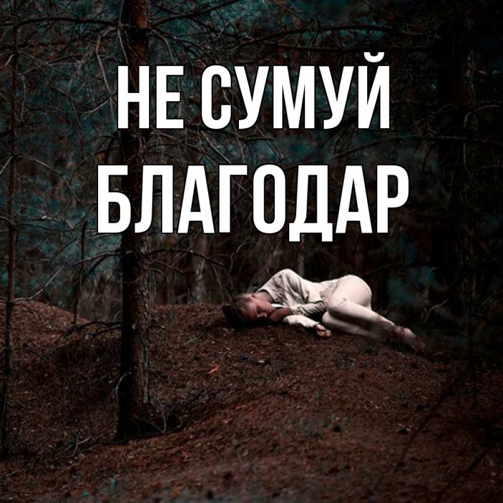 Открытка на каждый день з підписом, Благодар Не сумуй лес Прикольна листівка з побажанням онлайн скачати безкоштовно 