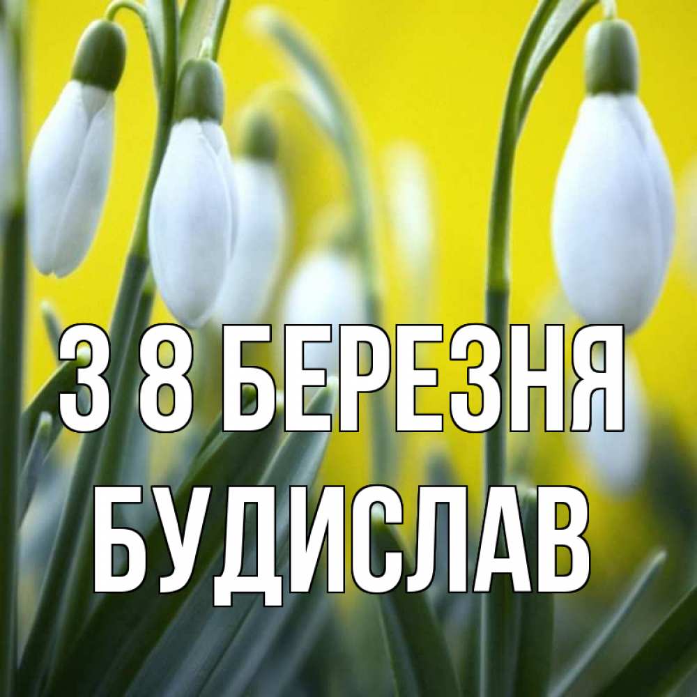 Открытка на каждый день з підписом, Будислав З 8 БЕРЕЗНЯ весенние цветы Прикольна листівка з побажанням онлайн скачати безкоштовно 