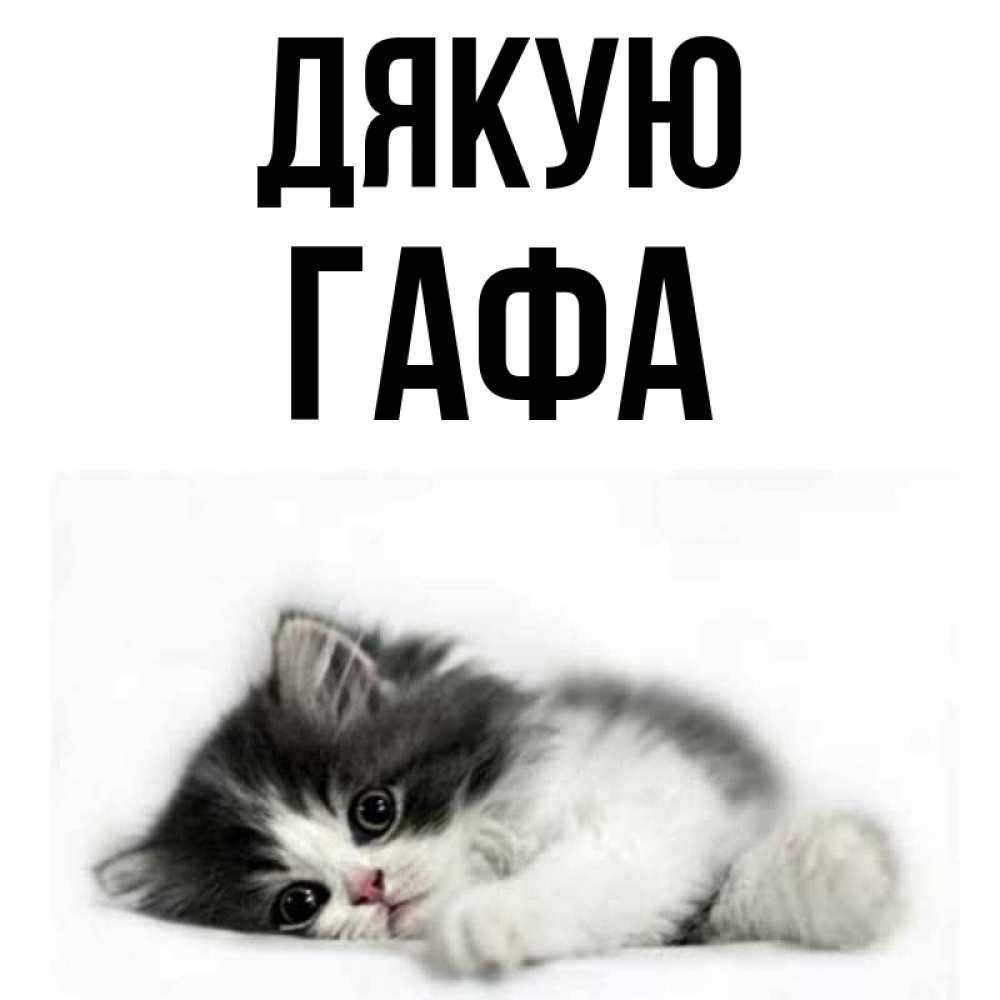 Открытка на каждый день з підписом, Гафа Дякую черный и белый кот Прикольна листівка з побажанням онлайн скачати безкоштовно 