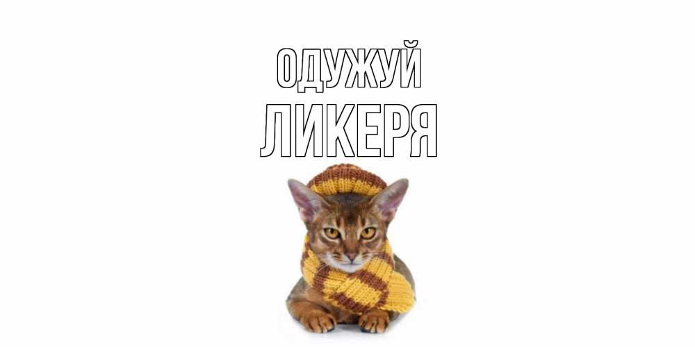 Открытка на каждый день з підписом, Ликеря Одужуй родные не болейте Прикольна листівка з побажанням онлайн скачати безкоштовно 