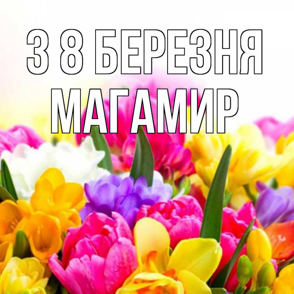 Открытка на каждый день з підписом, Магамир З 8 БЕРЕЗНЯ тюльпаны Прикольна листівка з побажанням онлайн скачати безкоштовно 