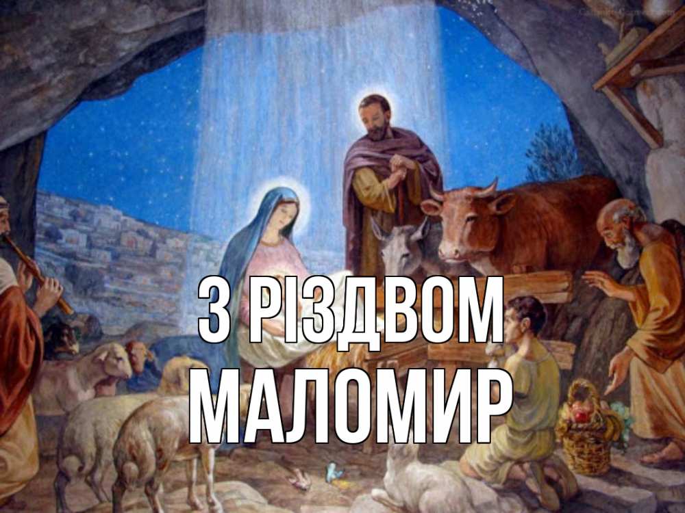Открытка на каждый день з підписом, Маломир З Різдвом Хлев с животными, Иисус, рождество Прикольна листівка з побажанням онлайн скачати безкоштовно 