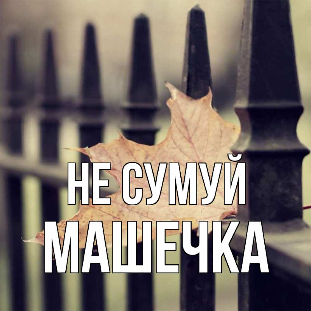 Открытка на каждый день з підписом, Машечка Не сумуй лист клена Прикольна листівка з побажанням онлайн скачати безкоштовно 