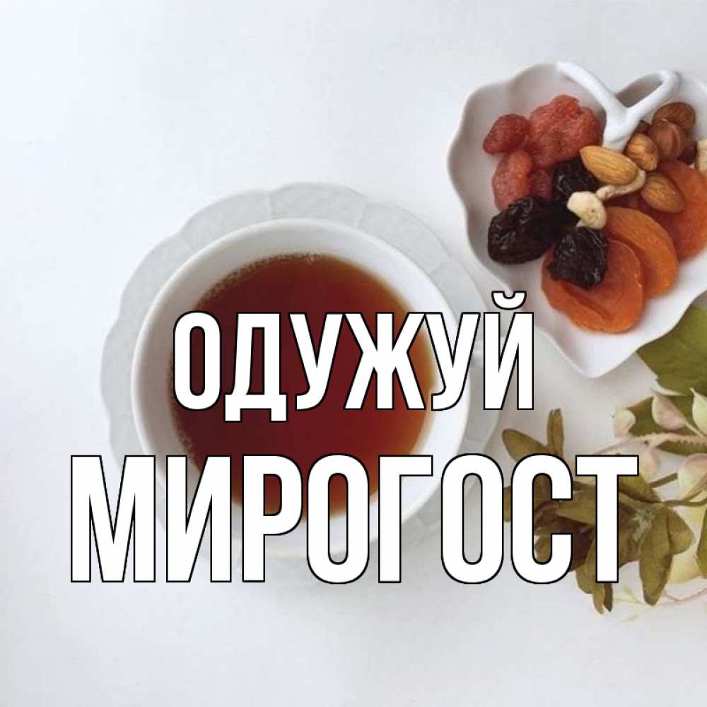Открытка на каждый день з підписом, Мирогост Одужуй неизвестные растения Прикольна листівка з побажанням онлайн скачати безкоштовно 