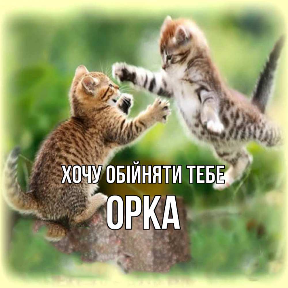 Открытка на каждый день з підписом, Орка Хочу обійняти тебе игры котят Прикольна листівка з побажанням онлайн скачати безкоштовно 