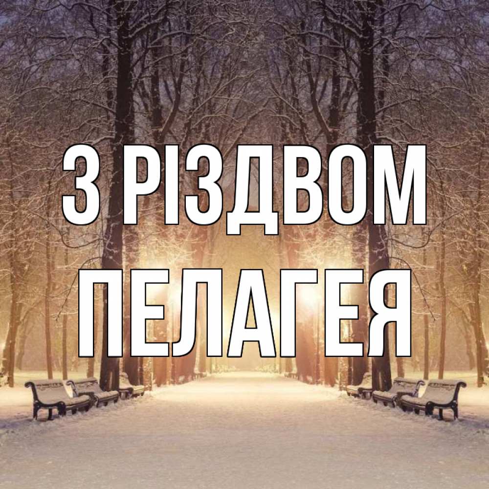Открытка на каждый день з підписом, Пелагея З Різдвом зима, парк, фонарь, лес Прикольна листівка з побажанням онлайн скачати безкоштовно 