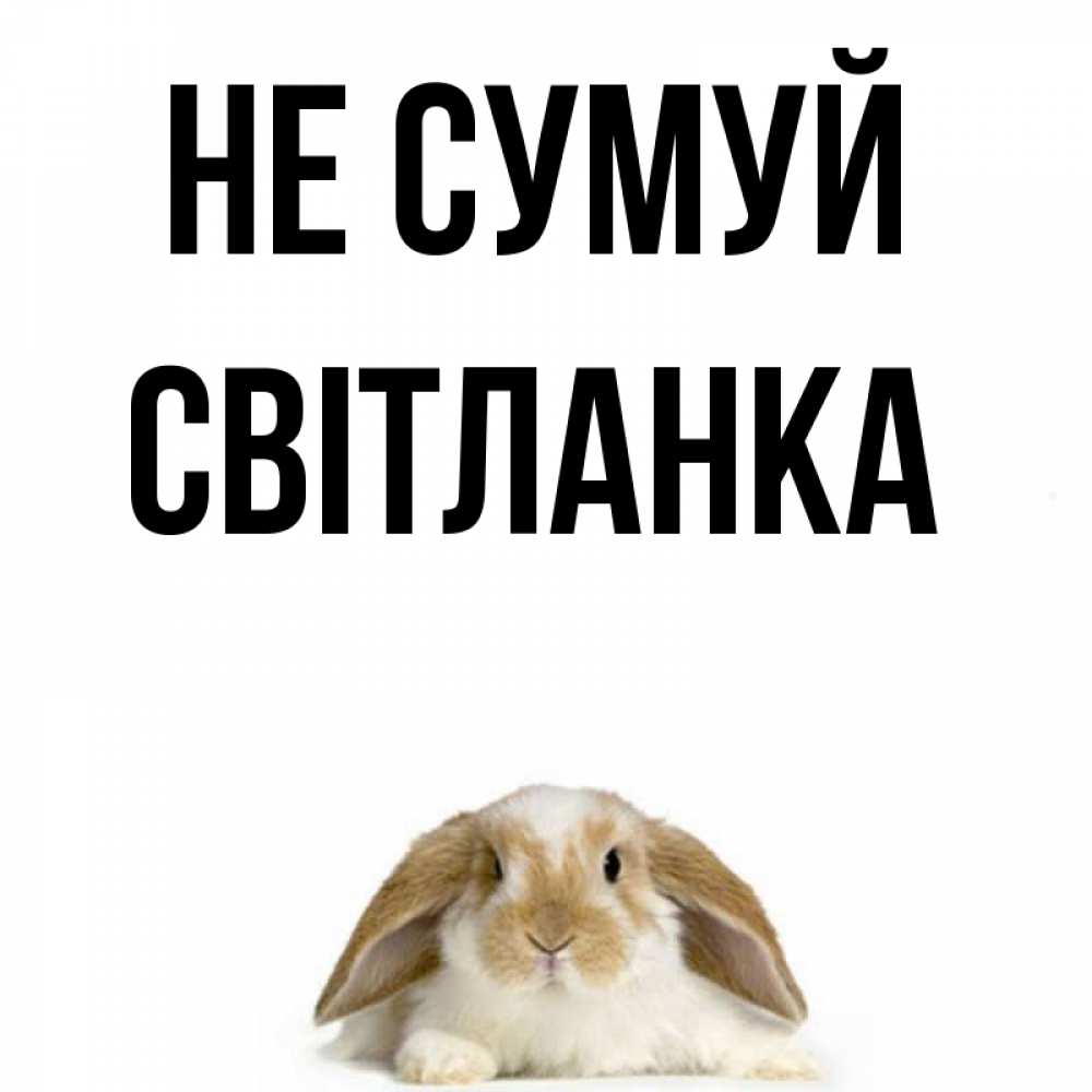 Открытка на каждый день з підписом, Світланка Не сумуй коричнево белый заяц с большими ушками Прикольна листівка з побажанням онлайн скачати безкоштовно 