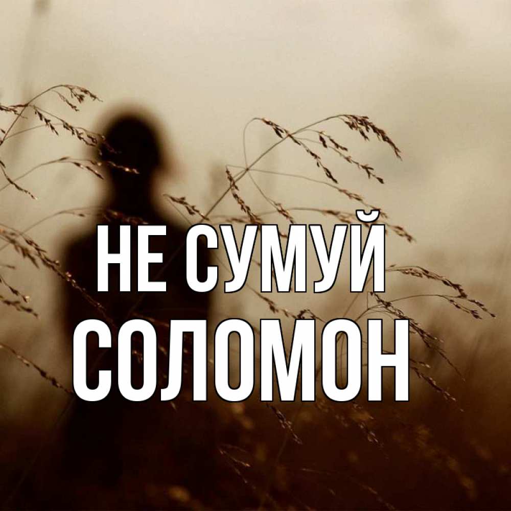 Открытка на каждый день з підписом, Соломон Не сумуй грусть Прикольна листівка з побажанням онлайн скачати безкоштовно 
