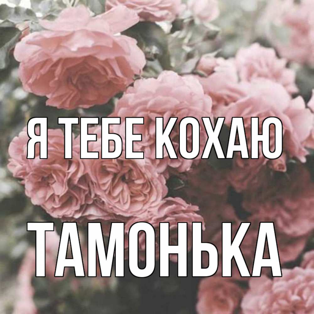 Открытка на каждый день з підписом, Тамонька Я тебе кохаю розы 3 Прикольна листівка з побажанням онлайн скачати безкоштовно 