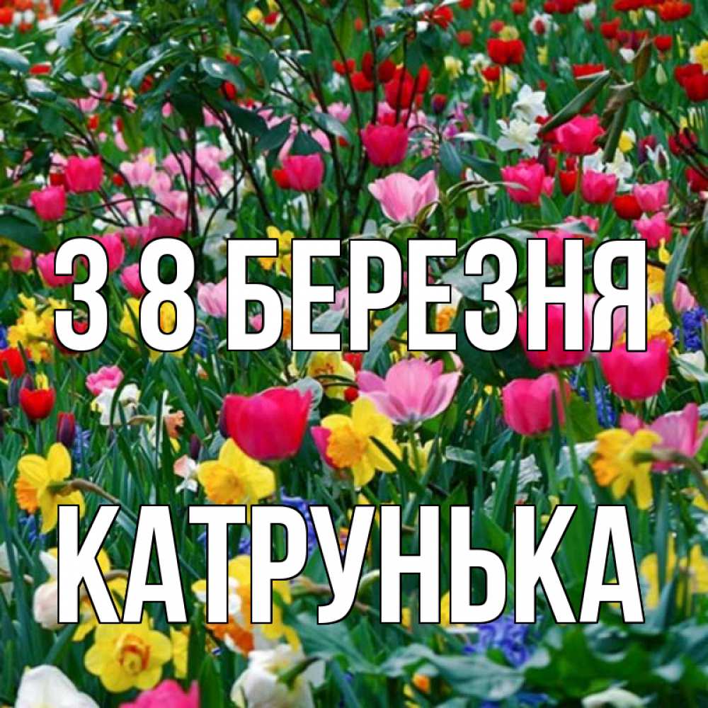 Открытка на каждый день з підписом, Катрунька З 8 БЕРЕЗНЯ с международным женским днем поздравления для женщины Прикольна листівка з побажанням онлайн скачати безкоштовно 
