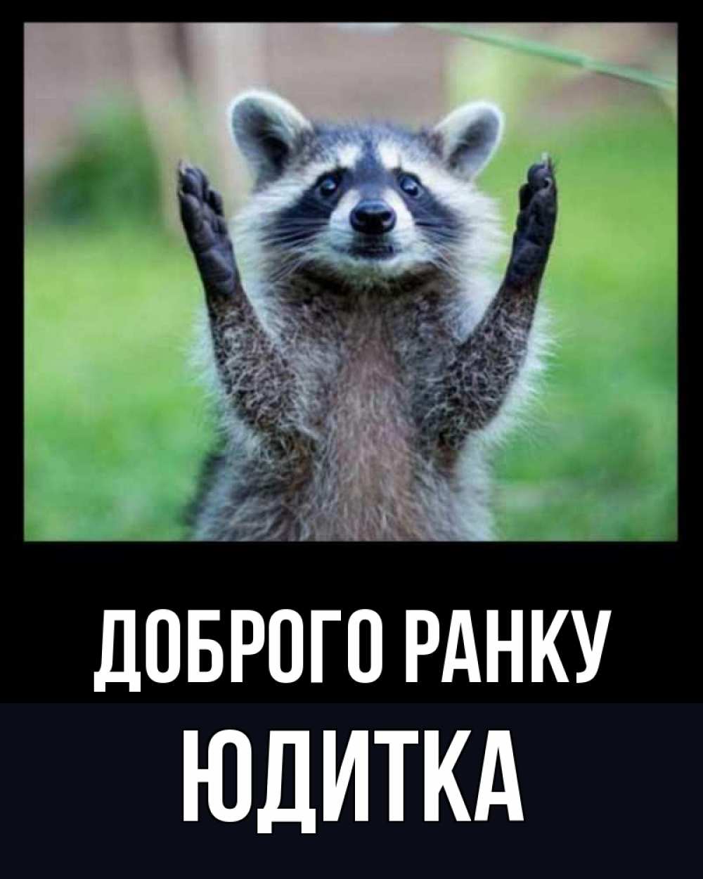 Открытка на каждый день з підписом, Юдитка Доброго ранку хорошее настроение утречком Прикольна листівка з побажанням онлайн скачати безкоштовно 