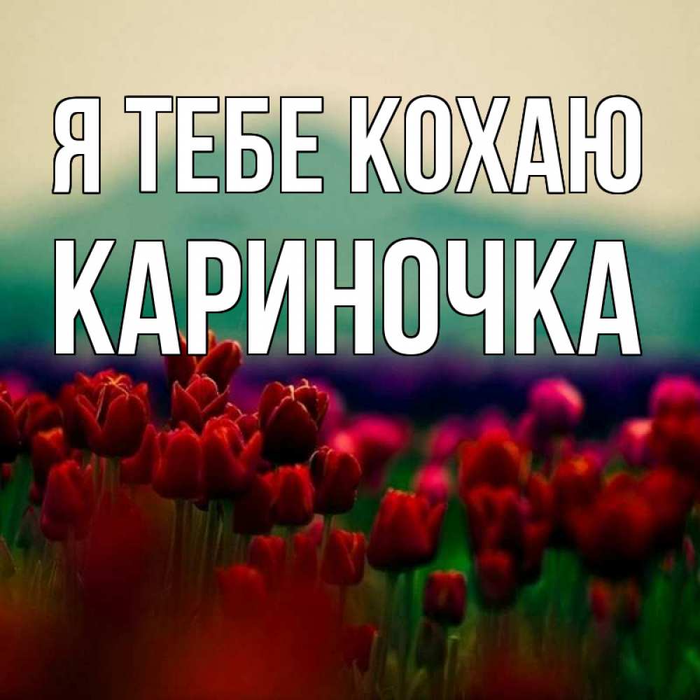 Открытка на каждый день з підписом, Кариночка Я тебе кохаю тюльпаны 4 Прикольна листівка з побажанням онлайн скачати безкоштовно 
