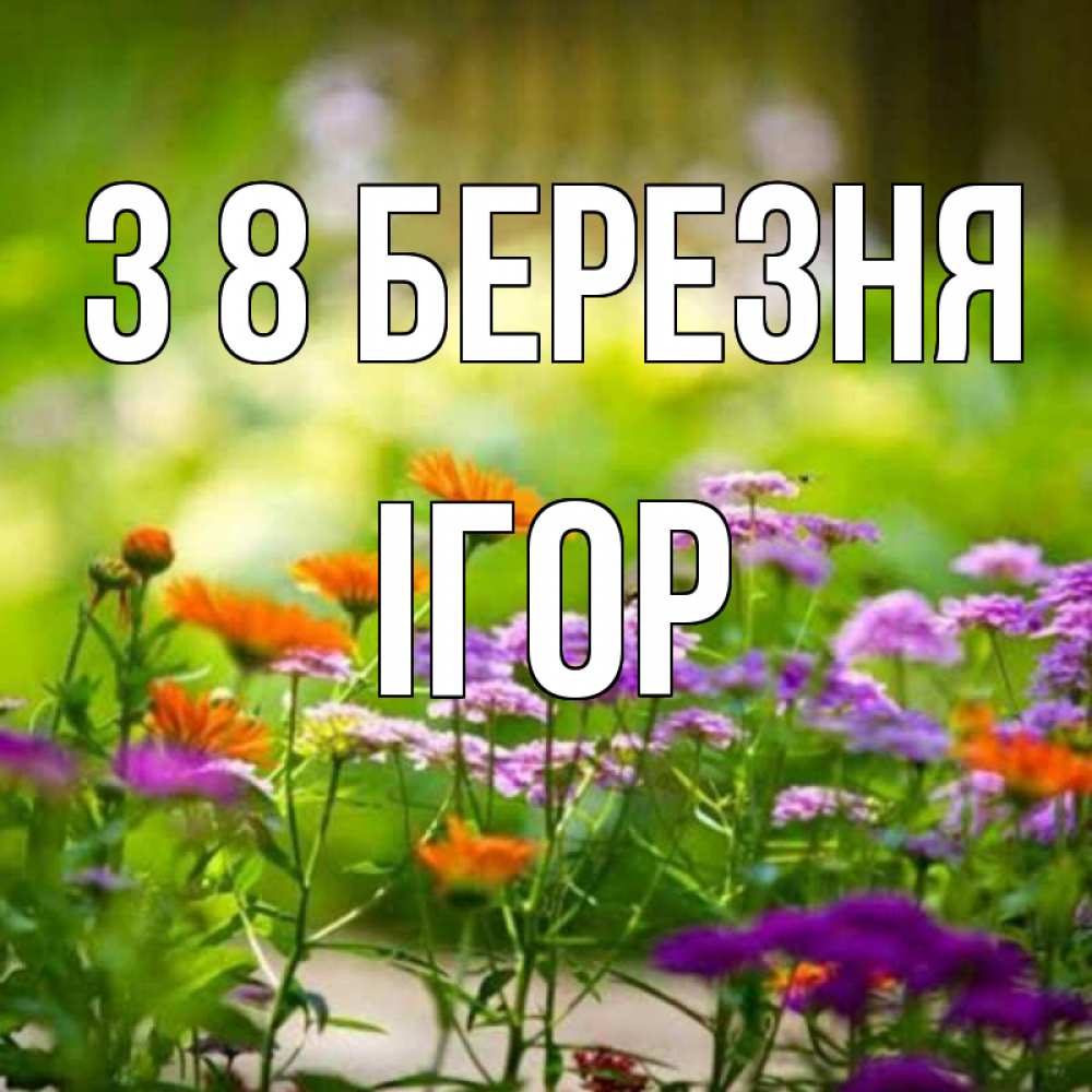 Открытка на каждый день з підписом, Ігор З 8 БЕРЕЗНЯ цветы Прикольна листівка з побажанням онлайн скачати безкоштовно 