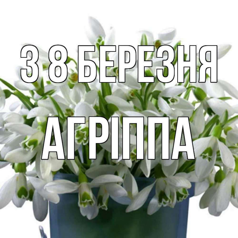 Открытка на каждый день з підписом, Агріппа З 8 БЕРЕЗНЯ цветы к международному женскому дню Прикольна листівка з побажанням онлайн скачати безкоштовно 