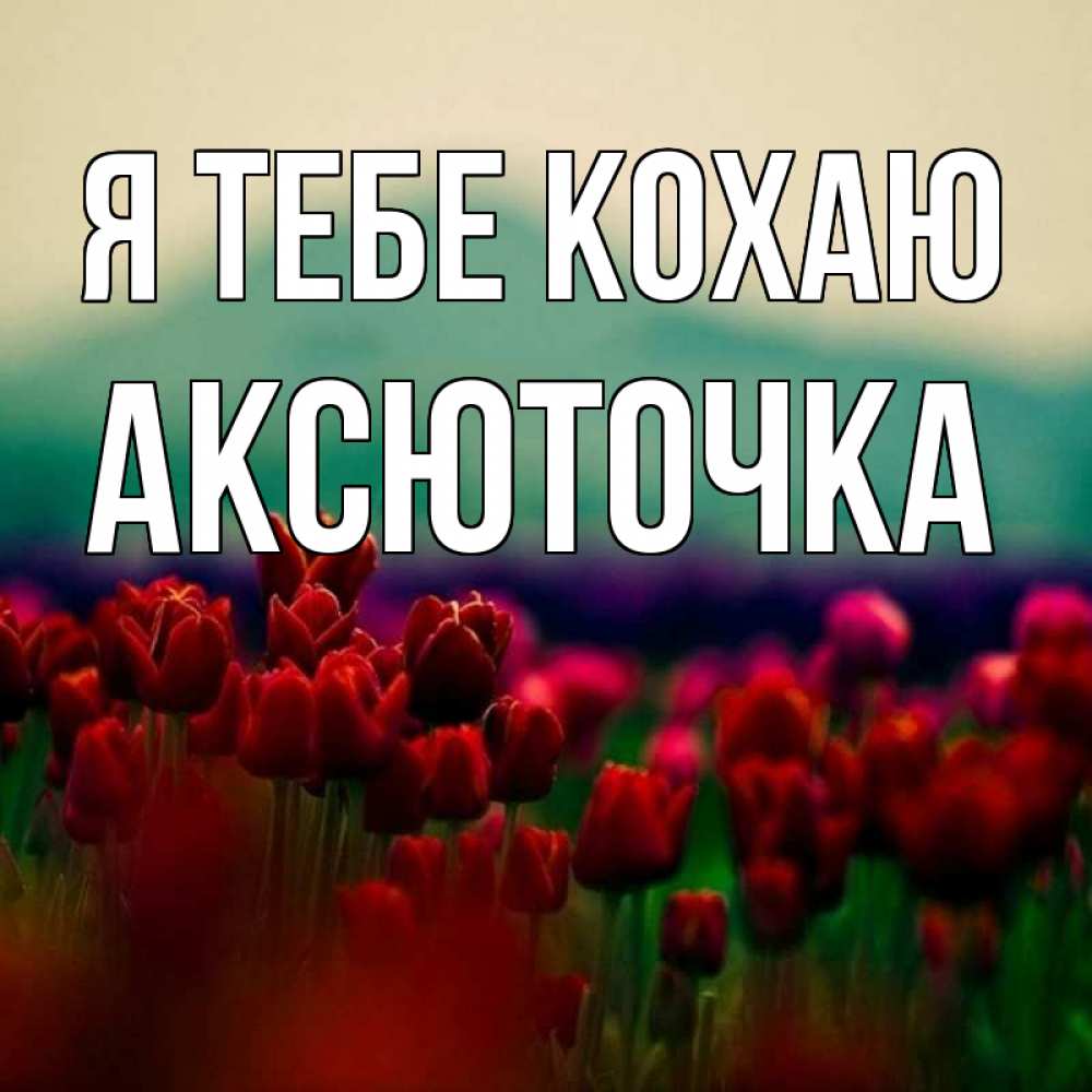 Открытка на каждый день з підписом, Аксюточка Я тебе кохаю тюльпаны 4 Прикольна листівка з побажанням онлайн скачати безкоштовно 