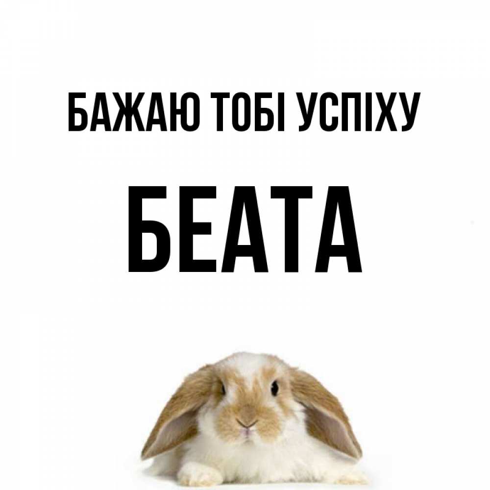 Открытка на каждый день з підписом, Беата Бажаю тобі успіху открытки с произвольным текстом который можно вставить в открытку и создать ее самостоятельно бесплатно онлайн Прикольна листівка з побажанням онлайн скачати безкоштовно 