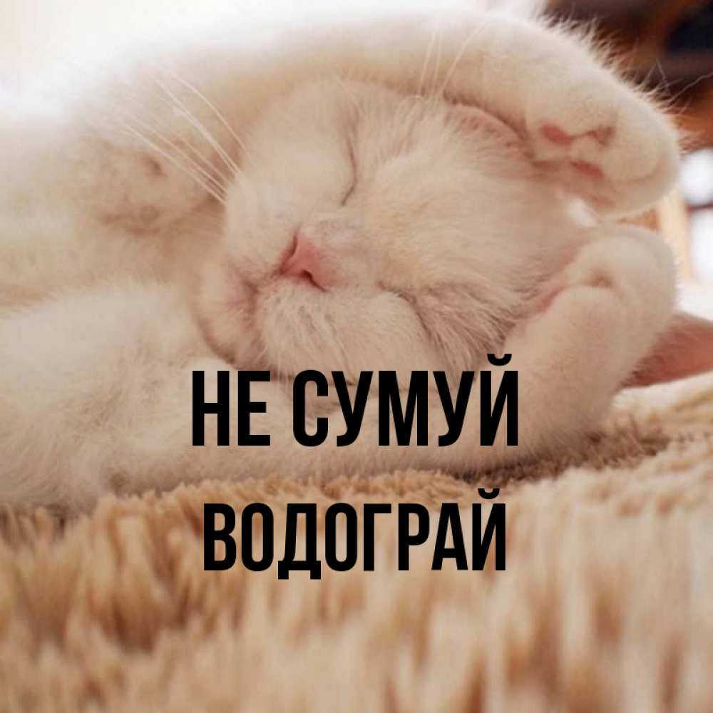 Открытка на каждый день з підписом, Водограй Не сумуй Котенок спит Прикольна листівка з побажанням онлайн скачати безкоштовно 