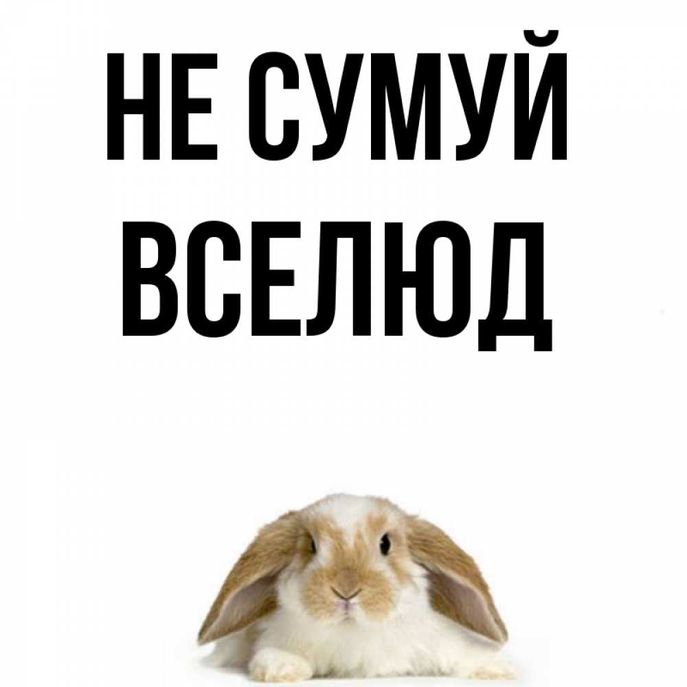 Открытка на каждый день з підписом, Вселюд Не сумуй коричнево белый заяц с большими ушками Прикольна листівка з побажанням онлайн скачати безкоштовно 