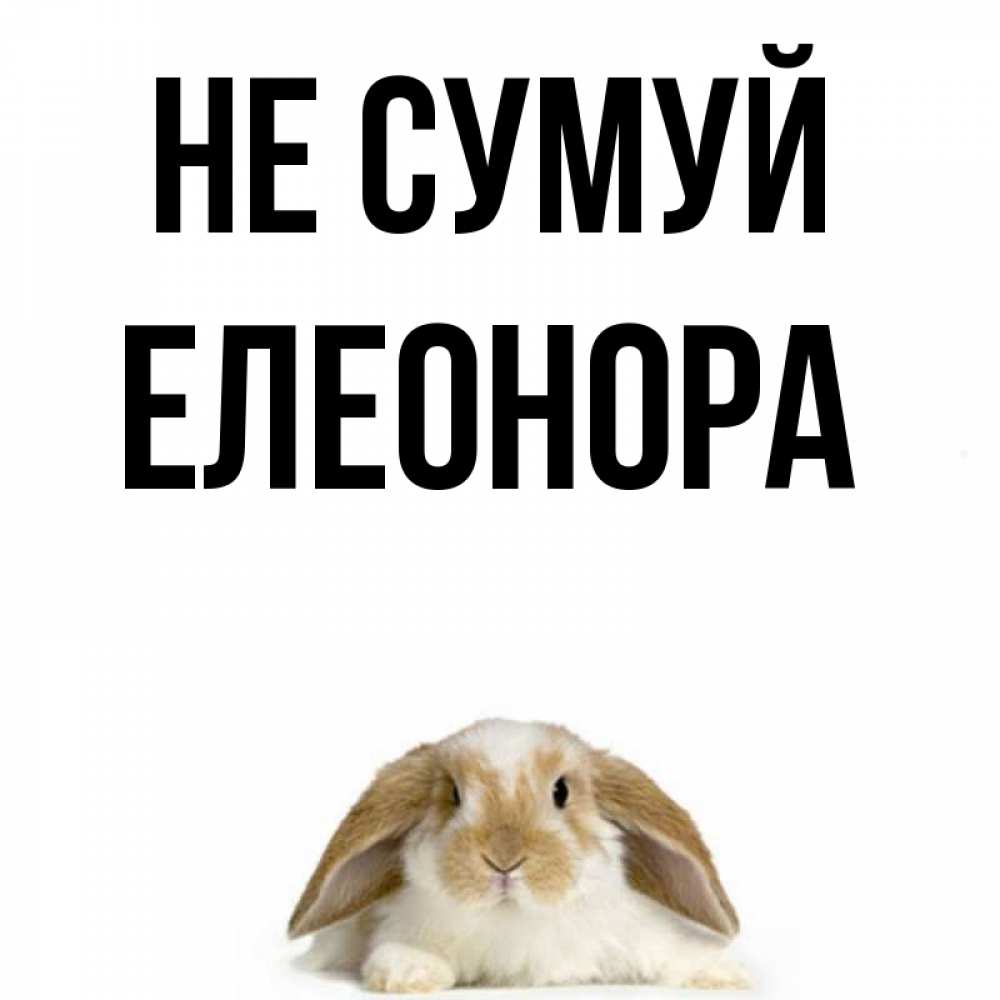 Открытка на каждый день з підписом, Елеонора Не сумуй коричнево белый заяц с большими ушками Прикольна листівка з побажанням онлайн скачати безкоштовно 