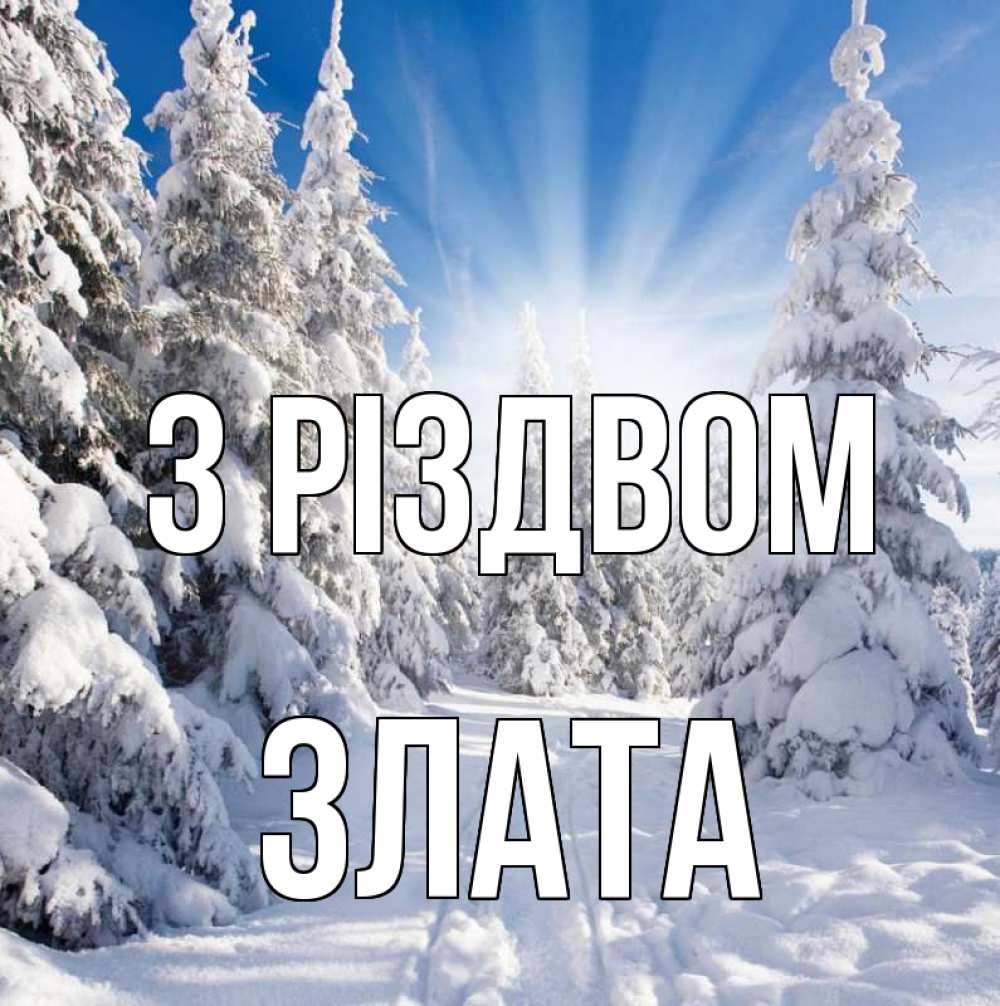 Открытка на каждый день з підписом, Злата З Різдвом зима, лес Прикольна листівка з побажанням онлайн скачати безкоштовно 