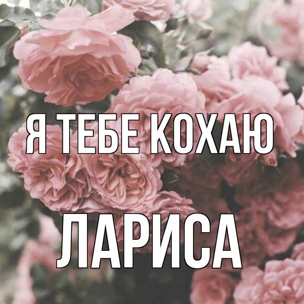 Открытка на каждый день з підписом, Лариса Я тебе кохаю розы 3 Прикольна листівка з побажанням онлайн скачати безкоштовно 