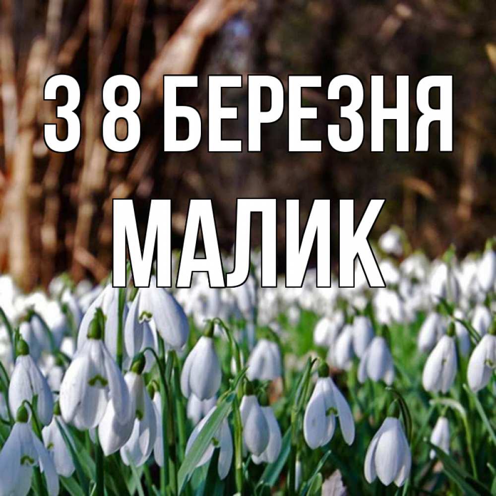 Открытка на каждый день з підписом, Малик З 8 БЕРЕЗНЯ с подснежниками 1 Прикольна листівка з побажанням онлайн скачати безкоштовно 